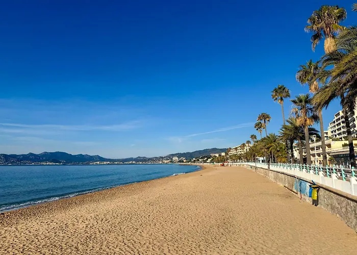 Atelier Meynadier Daire Cannes